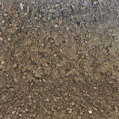 Garden mix used in a Canterbury landscape