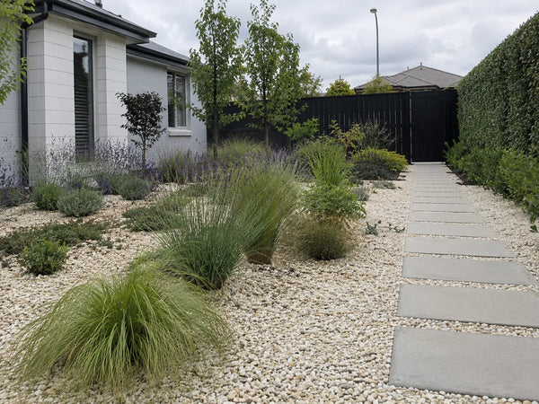 Pale limestone chip around ornamental grasses and lavender-coloured plants