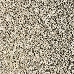 Wānaka schist chip