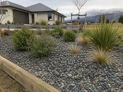 Wānaka schist chip